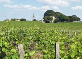 Week end d'oenologie et box eonologiques vins de Bordeaux