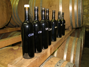 Aérer votre cave à vin » L'Atelier du Vigneron - Des solutions pour  aménagement votre cave et conserver vos vins.